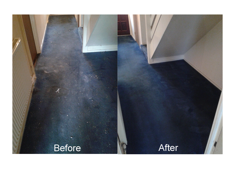 Carpet Cleaning Daventry