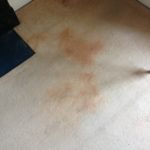 Stain removal Daventry