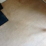 Carpet Stain removal Daventry