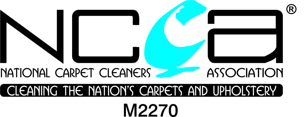 How to choose my carpet cleaners