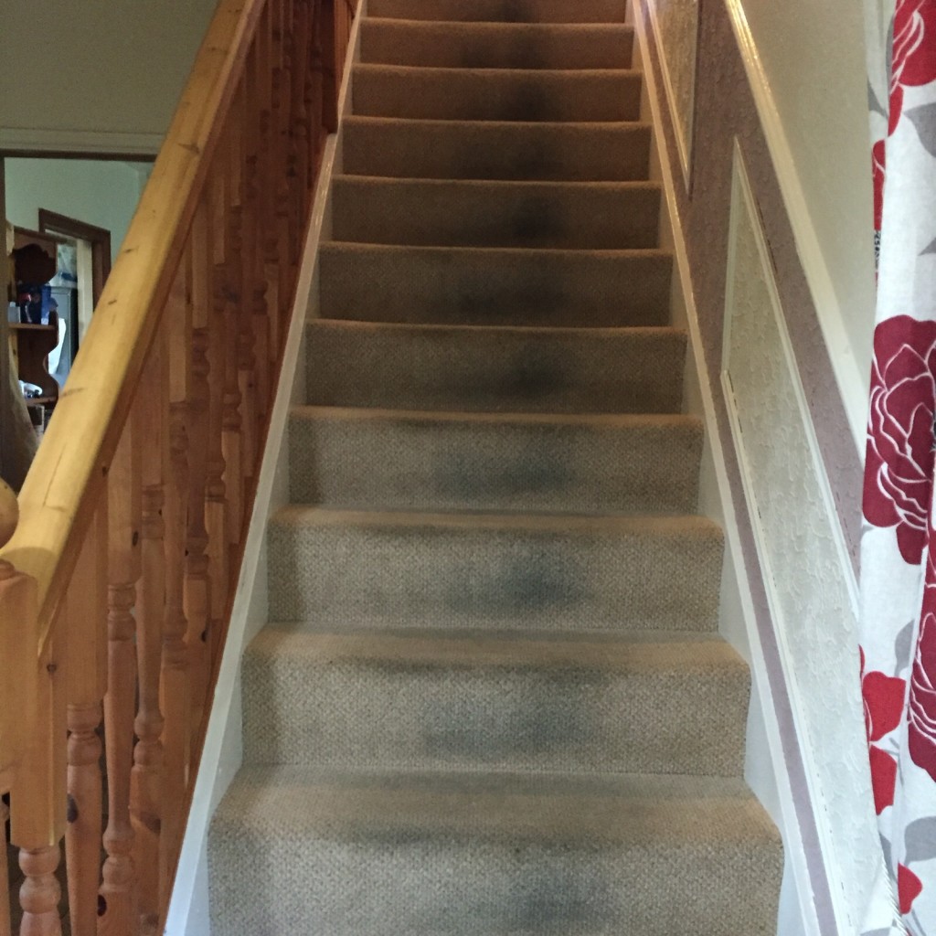 Dirty Stairs Carpet