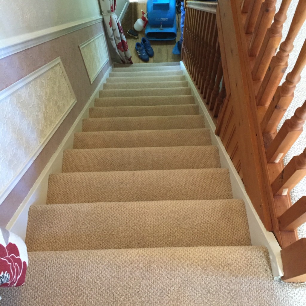 Stair carpet in Daventry