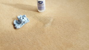 Spot and Stain Removal