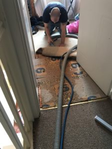 Water Escape - Carpet Cleaners Daventry