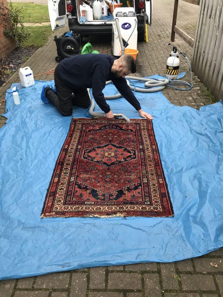 Rug Cleaning