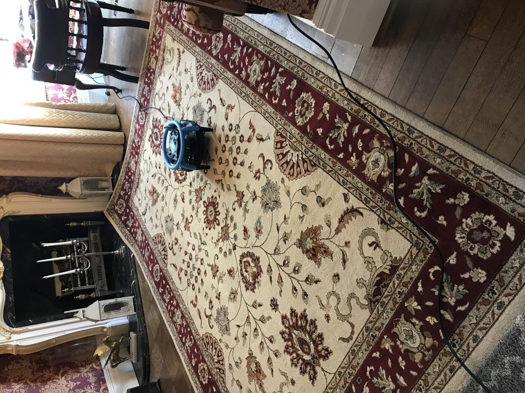 How to clean rugs