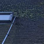 Roof Cleaning Northampton