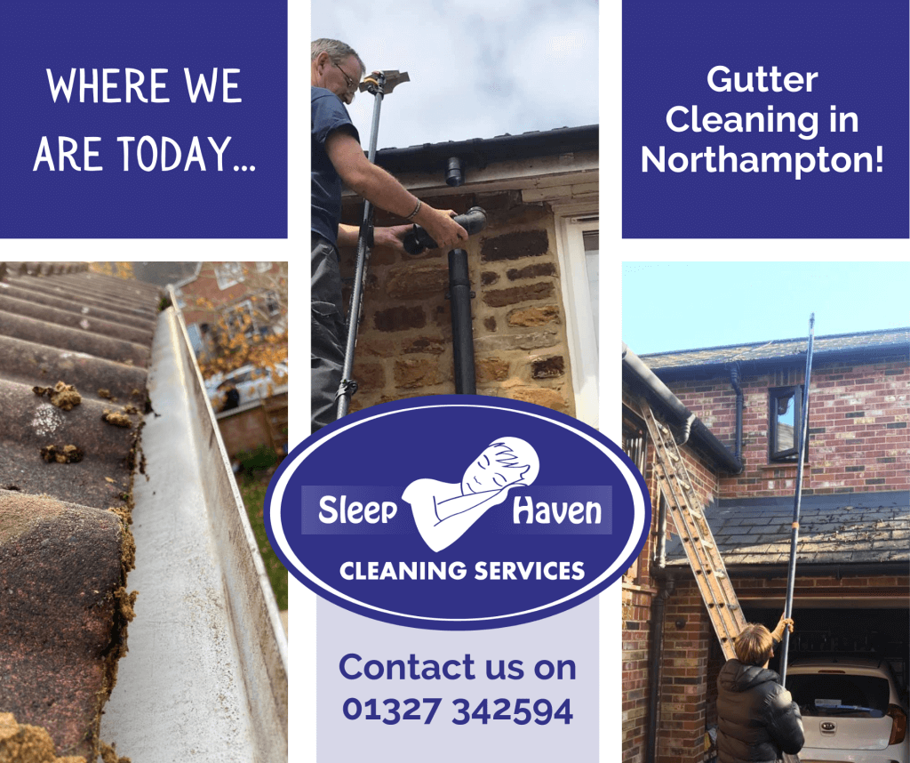 Gutter & Roof Cleaning