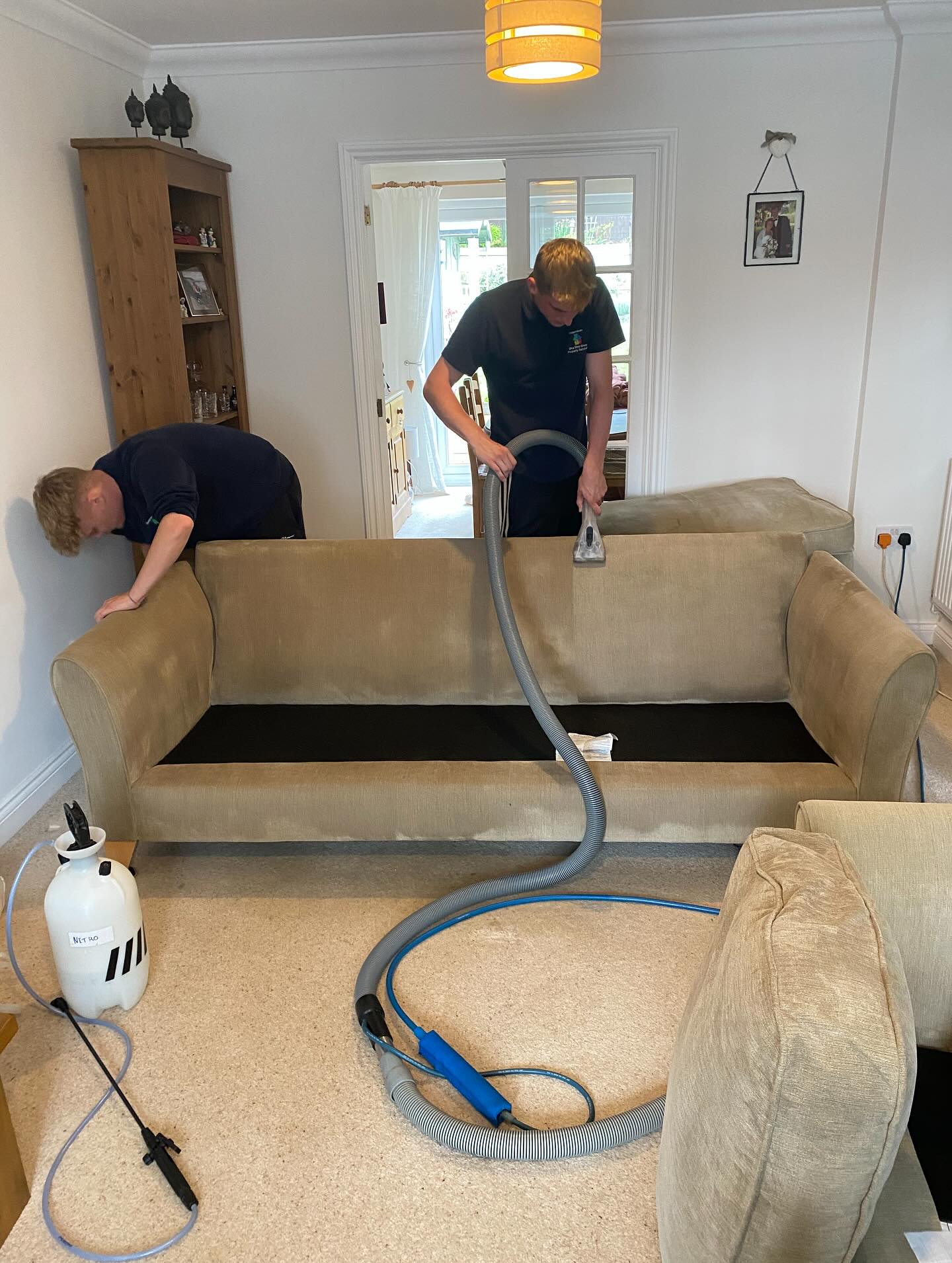 Professional carpet & upholstery cleaning