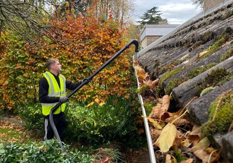 Exterior Cleaning Services