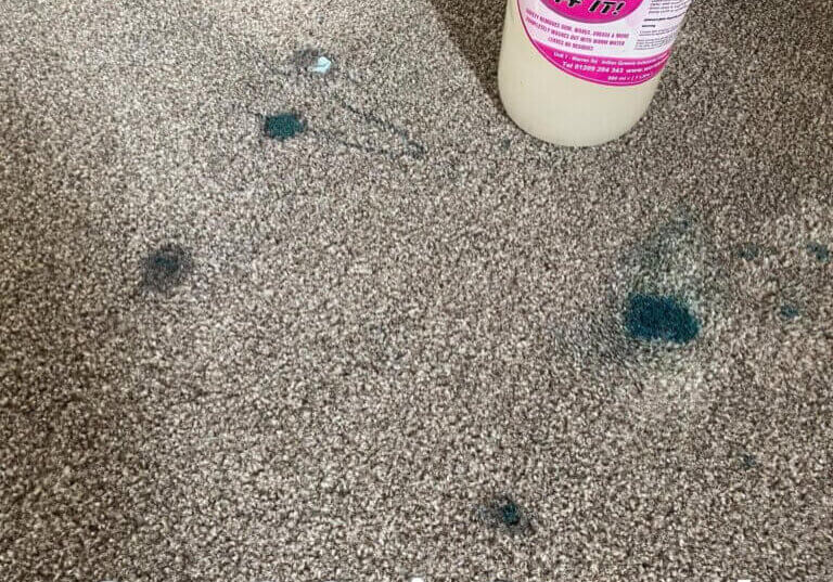 Spot & Stain Removal