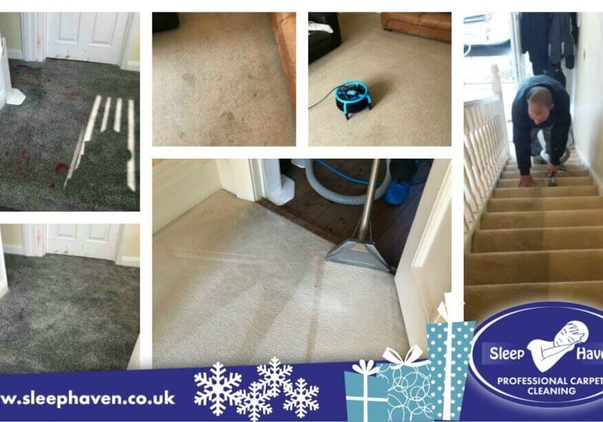 Carpet-cleaning-Christmas Carpet Cleaning Special Offers