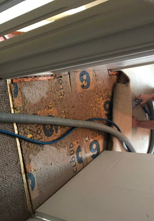 Water Escape - Carpet Cleaners Daventry
