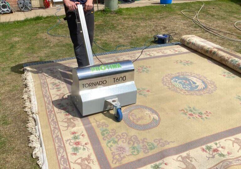Professional Rug Cleaning in Daventry