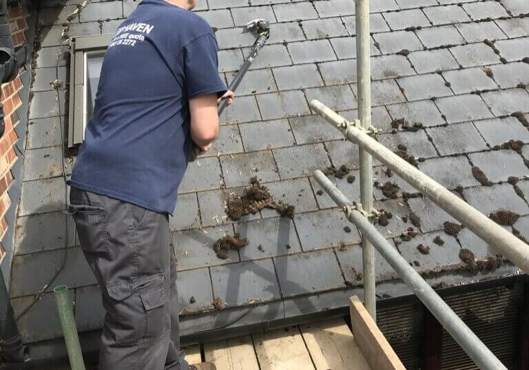 Moss Removal from Roofs